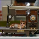 풀향기한의원 이미지