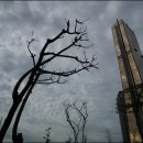 르네상스빌딩 앞 이미지