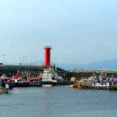 대천항수산물시장 이미지