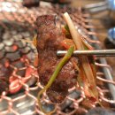 마약고기 이미지