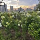 청담아이파크주유소 이미지