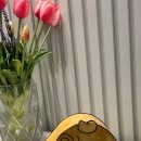 남양주제과제빵학원