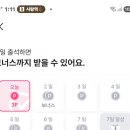 엠플츨석 이미지