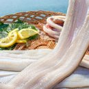 바다&장어 이미지