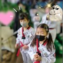 원식태권도 이미지