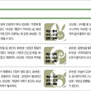 동양일보 소식(7월24일 오늘의 운세) 이미지