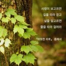 갈 수 없는 길-작가미상(시낭송) / 양지은 - 그 강을 건너지마오 이미지