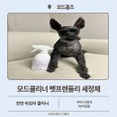 모드홈즈