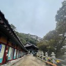 (주)영남중장비 | [100대명산]양산 천성산 등산 후기(천성산2봉 코스)