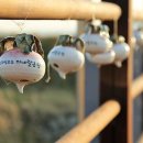 석모도미네랄스파 이미지