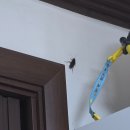 (주)대일에너지 교문지점 | 눈물이 차올라서 고갤들어...☆ 하지만 흐르진 않지.