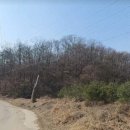 안성땅공인중개사사무소 이미지