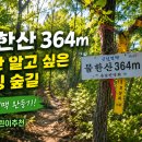 364 | 금남정맥 물한산(364m) 최단코스 등산 후기
