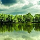 푸른초원 이미지