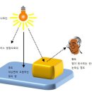 휘도