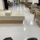 연세 다윗 | 임신 38주 5일 : 산부인과 전원 / 연세세브란스 산부인과 제왕절개 확정 ( 팔로4징후 )
