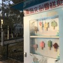 선샤인 DR시티 | 여자 넷이서 칭다오 여행 ep.2 | 칭다오 여행 코스, 현지인 맛집, 인생 에그타르트