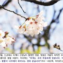 희망의 지침-이케다 선생님 지도에서 배운다/ 불법대화/ 새싹이 움트는 봄은 바로 가까이에/ 화광신문 제1435호 - 이미지