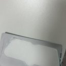 화수육계 이미지