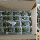 행복건강원 이미지