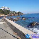 다무포간이해수욕장 이미지