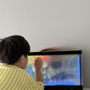 창의력 미술놀이 | LED라이트보드로 창의력 미술놀이해요.