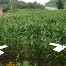 체인지공인중개사사무소 이미지