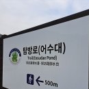 제67차 정기산행(변산 쇠뿔바위봉 2023. 5.13) 이미지