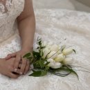 베스트플래너스 | 영동아모르아트 본식동행후기 | 대전웨딩플래너 더림플 최은지플래너