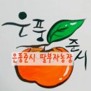 덕장농장 이미지