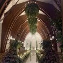 웨딩 플로체 | 서울 회기역 벨라루체 플로체홀 투어 가성비 웨딩 밝은 채플홀 [27년 상반기 견적 공유]