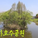 굴다리만물 네이버블로그