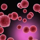 필라테스 귤 이미지