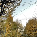 건축사사무소 린 이미지