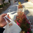 성대 게임장 이미지