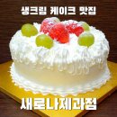 새로나 | 제과기능장이 만든 존맛 생크림 케이크 후기! 대전 <새로나제과점>