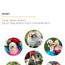 옥계유치원 이미지