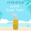 구성그라비스 이미지