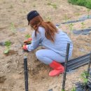 상리농장 이미지