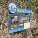 통영항약국 | 욕지도 관광명소 제1 출렁다리