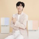 트리디자인