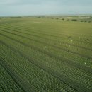 일조농장 이미지