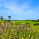 더클래식CC (대중형 18홀) | 샌드파인CC 강원도 골프여행, 강릉 골프텔에서 오션뷰 라운드 즐겼어요!