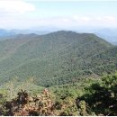 남산추어탕 이미지