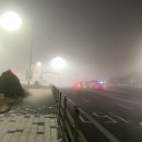 오세금과자점 | 오사카 4박 5일 [1일차/20230212] - 인천공항 황희찬 등판, 도톤보리 맛집 및 쇼핑