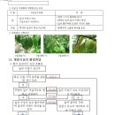 복숭아 세균성 구멍병과 약해증상 비교하고 진단하기 이미지