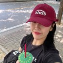 호다실 이미지