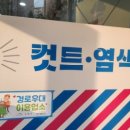 롯데이용소 이미지