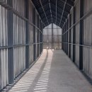 궁금한 키, 궁금한 사춘기 이미지