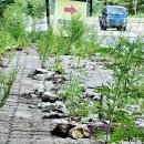 종합경기장(풋살장) 이미지